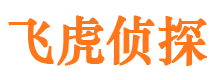 顺河市婚姻调查